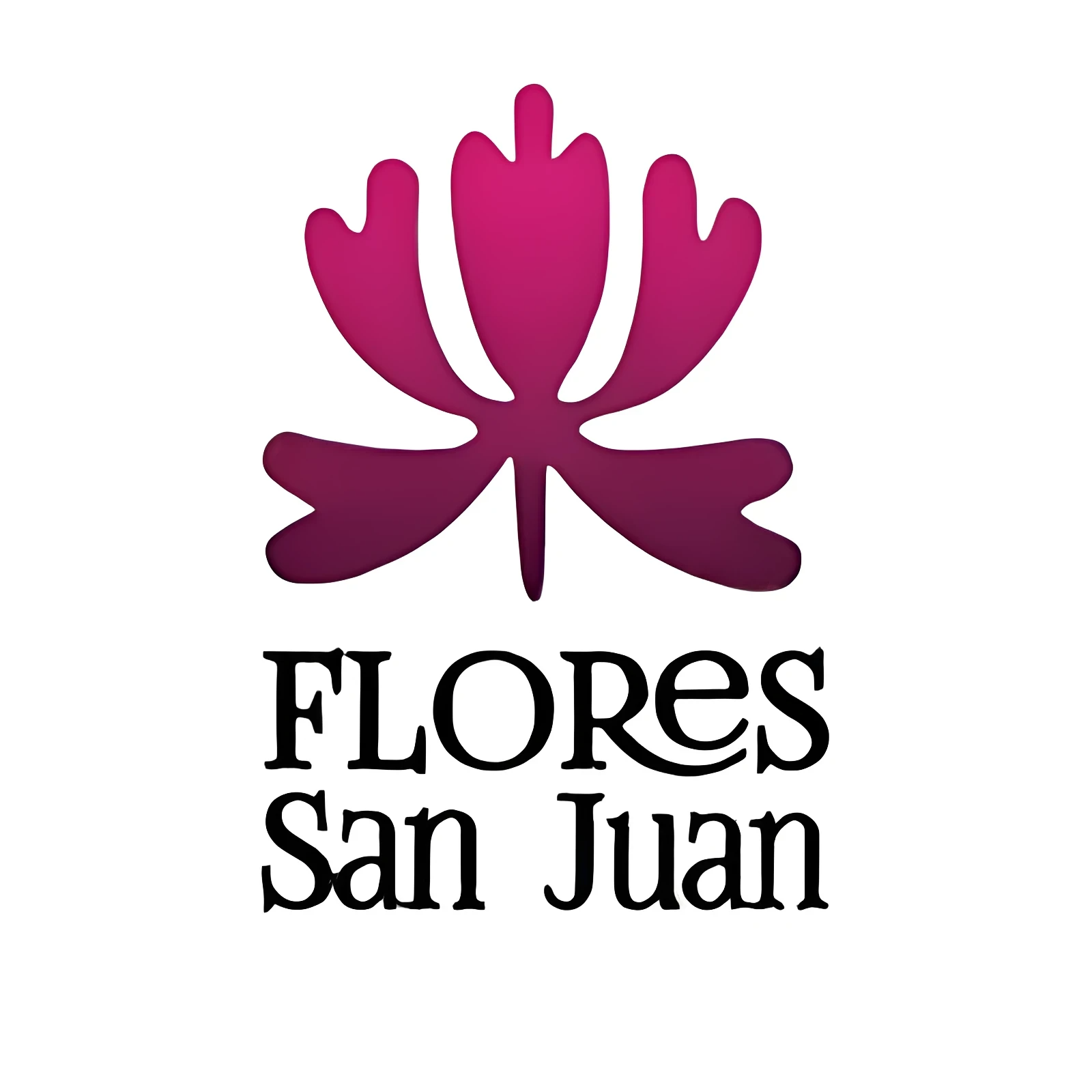 San Juan Logo